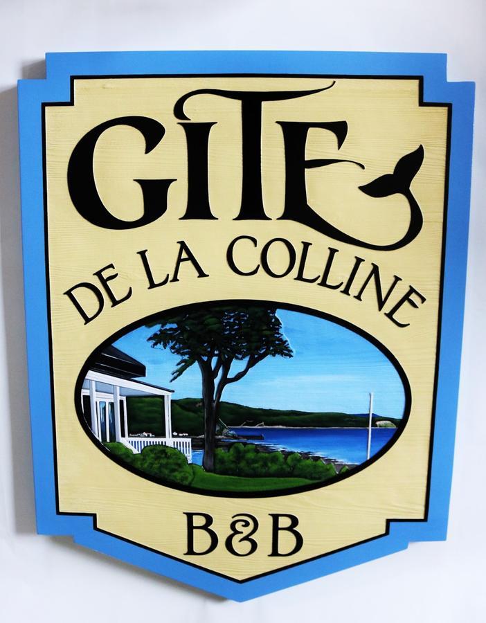 Gite De La Colline Baie-Sainte-Catherine Buitenkant foto